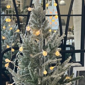 Berry Outdoor light chain - Star