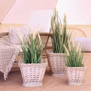 Fleur Reed Plant w.Foxtail grass S - Chic Antique