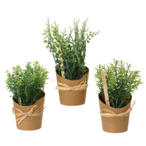 Herbs set of 3