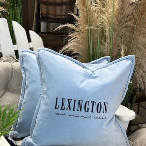 Blue Logo Organic Cotton Velvet pillow cover - Lexington