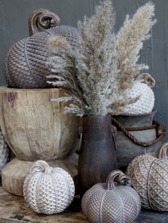 Pumpkin w.Gold/latte XL - Chic Antique - Image 3