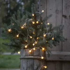 Berry clear light chain - Star