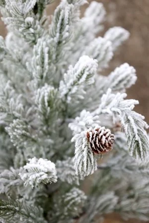 Fleur Pine Tree w. Snow & pinecones - Chic Antique - Image 3